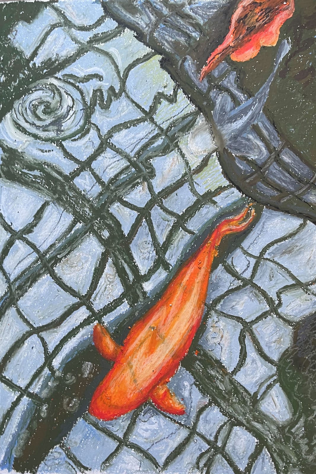 Garfield Park Conservatory Koi
